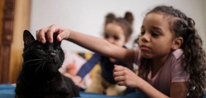 Two children petting a black cat on a bed, expressing love and togetherness indoors.