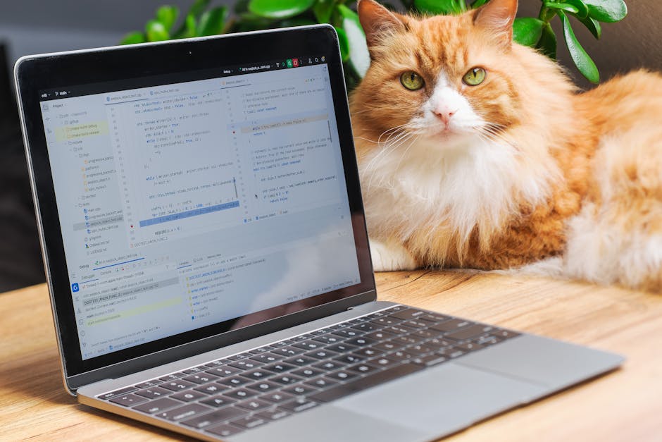 A fluffy orange cat rests beside a laptop showing a code editor, creating a cozy work-from-home setting.