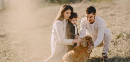 Full body happy family in casual clothes with little son stroking red Cocker Spaniel while spending time together on weekend in countryside in autumn