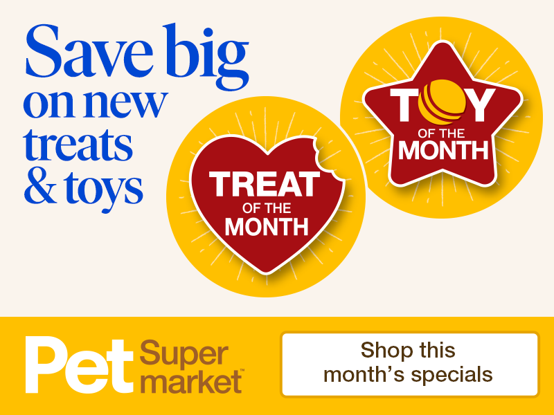 Toy & Treat of the Month